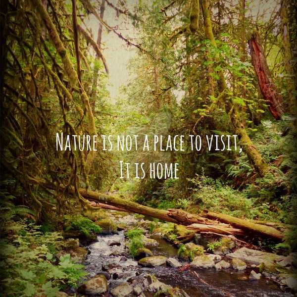 A Letter From Mother Earth--- Listen To My Words Before It's Too Late