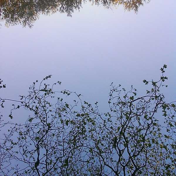 Radical Love Vs. The Rest Of This World