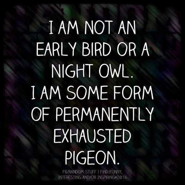 Living With Insomnia