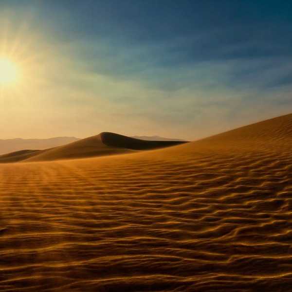 Bears Den: Sahara
