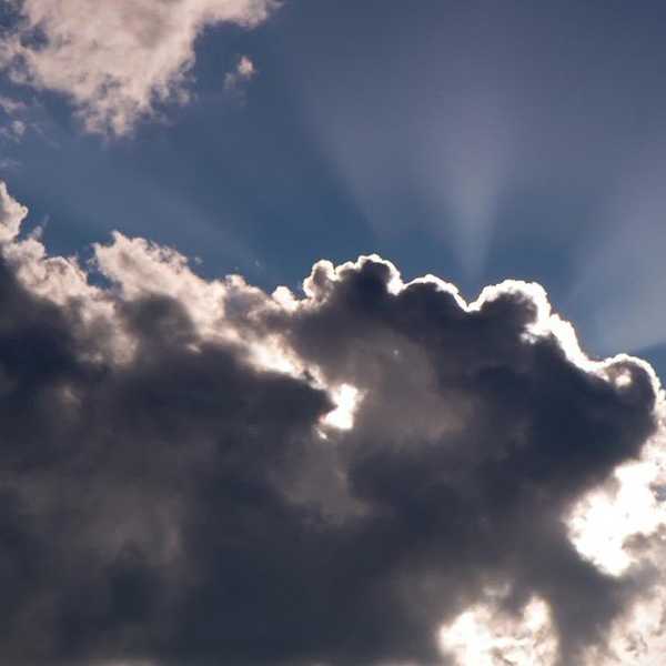 The Light in the Darkness