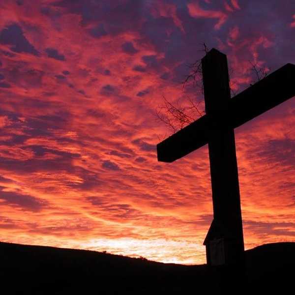 Why Trusting God's Plan Is More Important Than Trusting Our Own