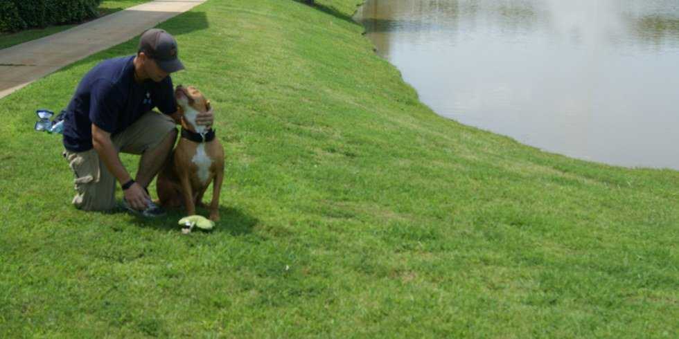 Pitbulls: Redefining The Notorious Breed Through The People That Love Them