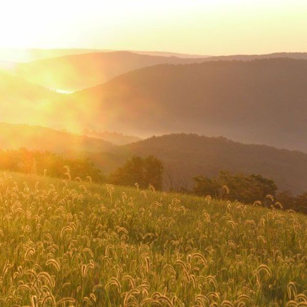 You're From Western Maryland If...