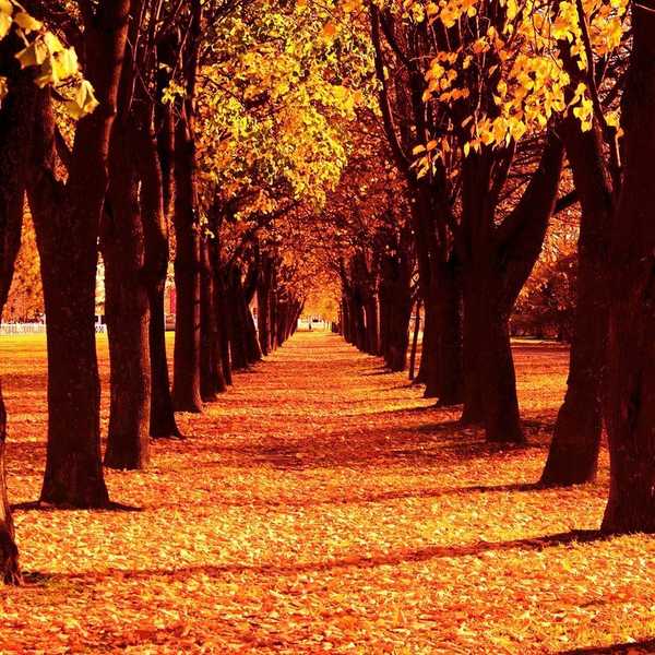 10 Reasons I Can't Wait For Fall