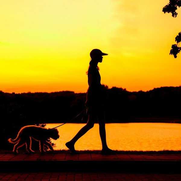 4 Reasons To Take An Evening Stroll