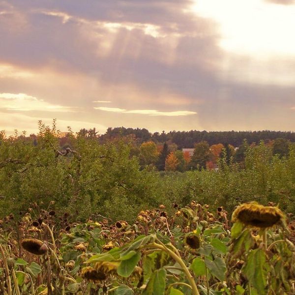 Summer Time Sadness Is A Real Thing