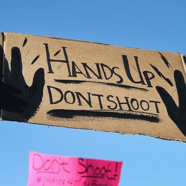 Toxic Perceptions Of Authority In The Police Brutality Debate