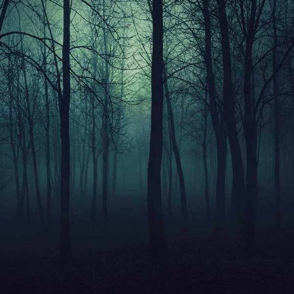 Taken In The Night: Part 3
