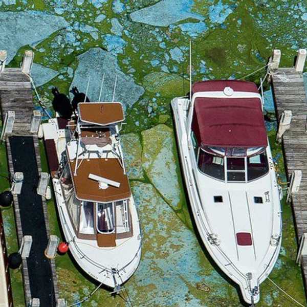 Save Our Waters