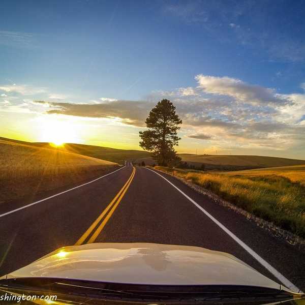 2016 Mid-Summer Playlist