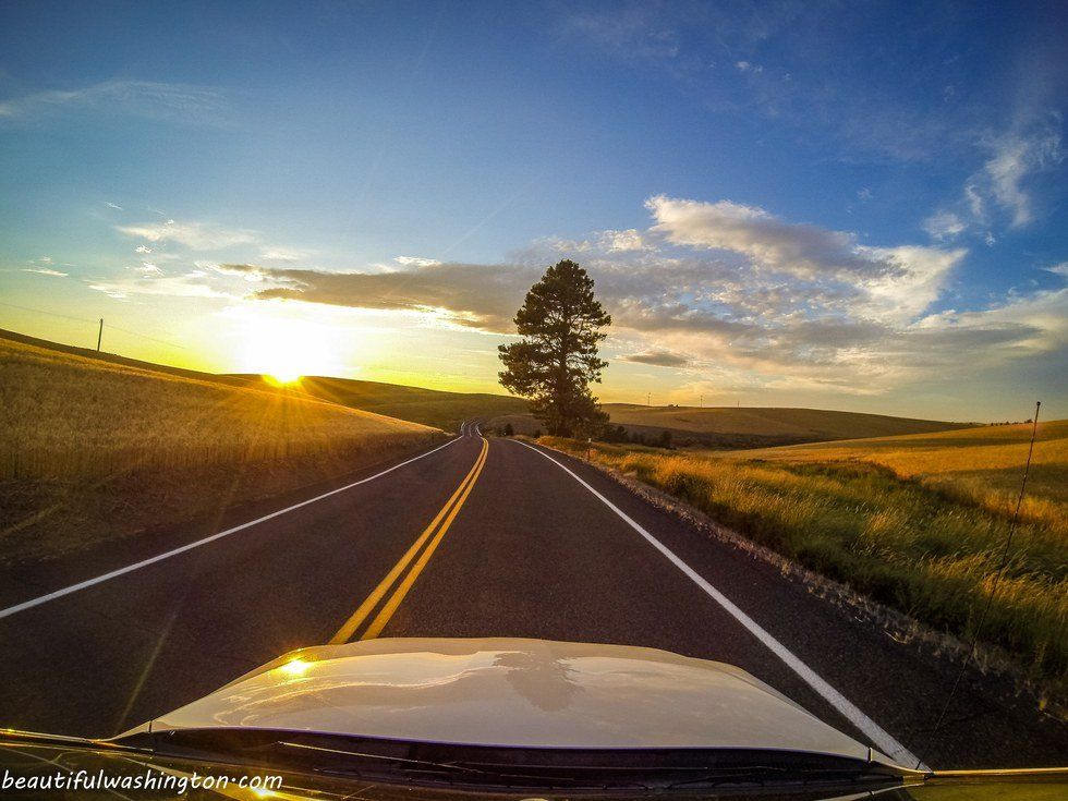 2016 Mid-Summer Playlist