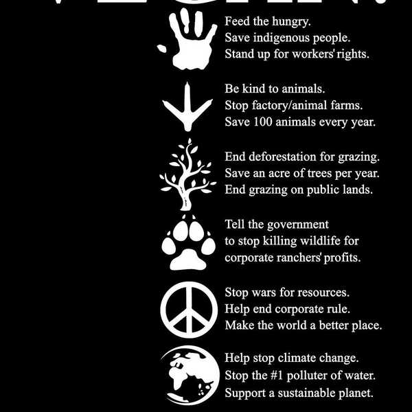 This Is Why Are Vegans So Annoying