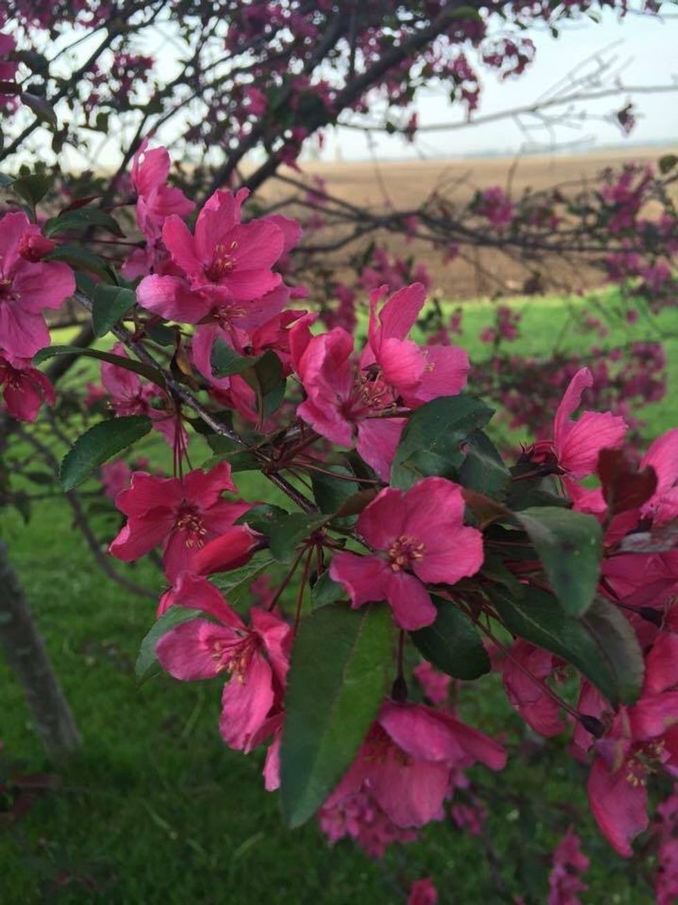 An Open Letter To Those Who Bullied Me