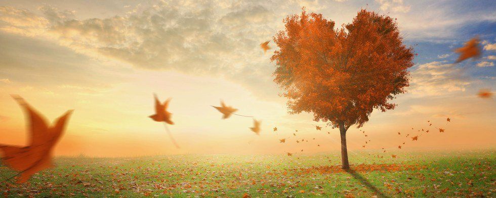 The War On Self Love