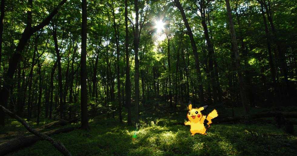 Pokemon In Real Life Through Augmented Reality