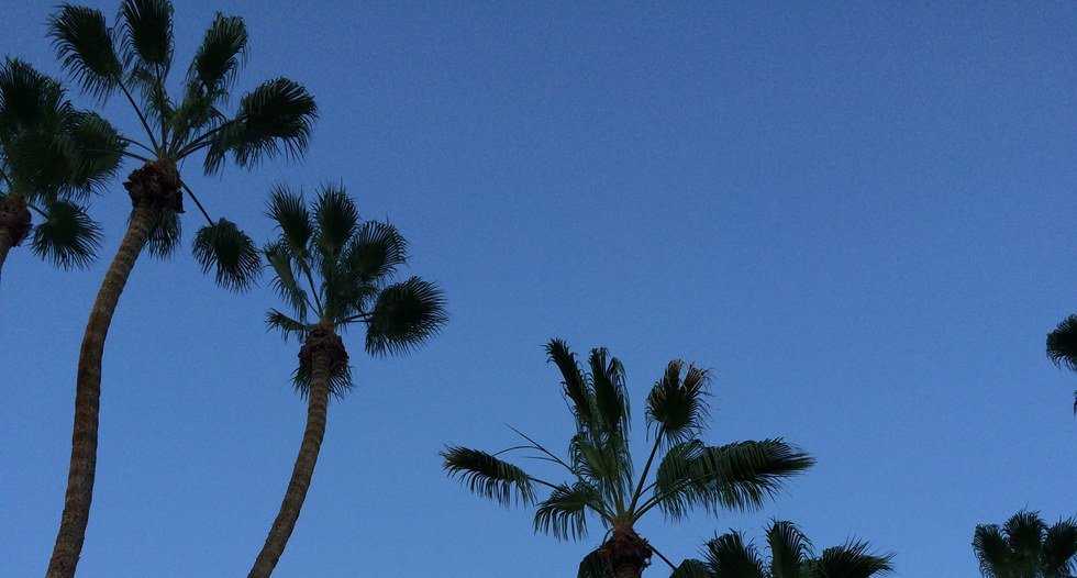 6 Fun And Cheap Things To Do This Summer