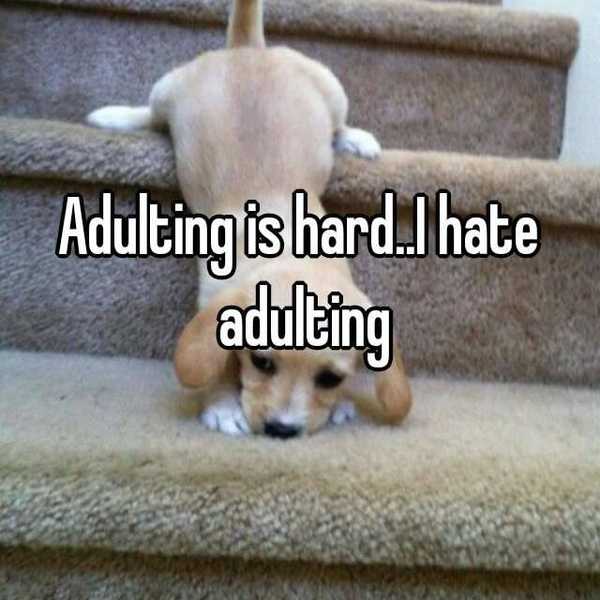 5 Reasons Adulting Sucks