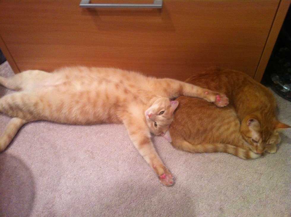 Confessions Of A Non-Extrovert