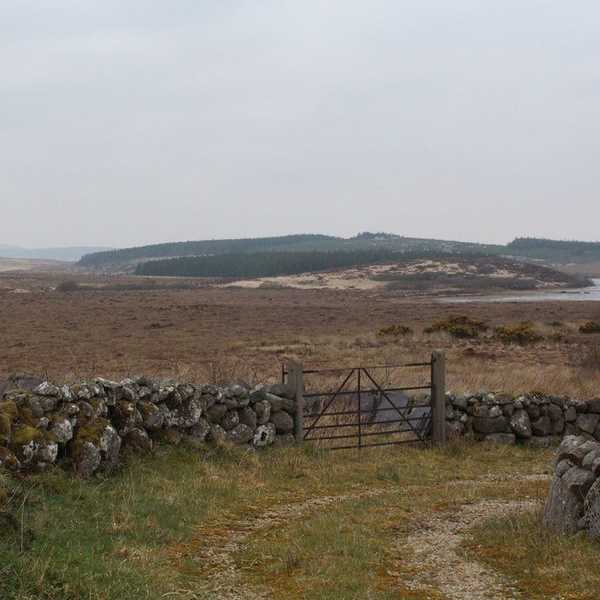 When A Foreign Country Feels Like Home