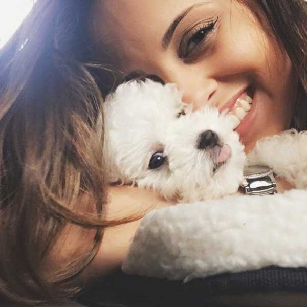 5 Reasons Why Dogs Are A (Wo)man's Best Friend