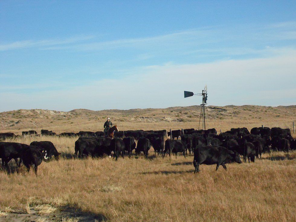 Adventure: You're Already Living It