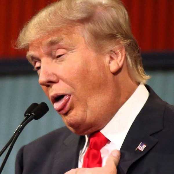 7 Animal Butts That Look Just Like Donald Trump