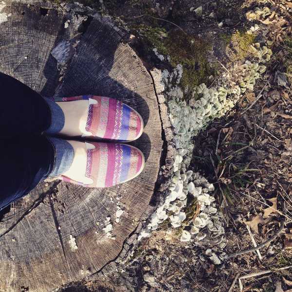 Yes, Introverts Are Real