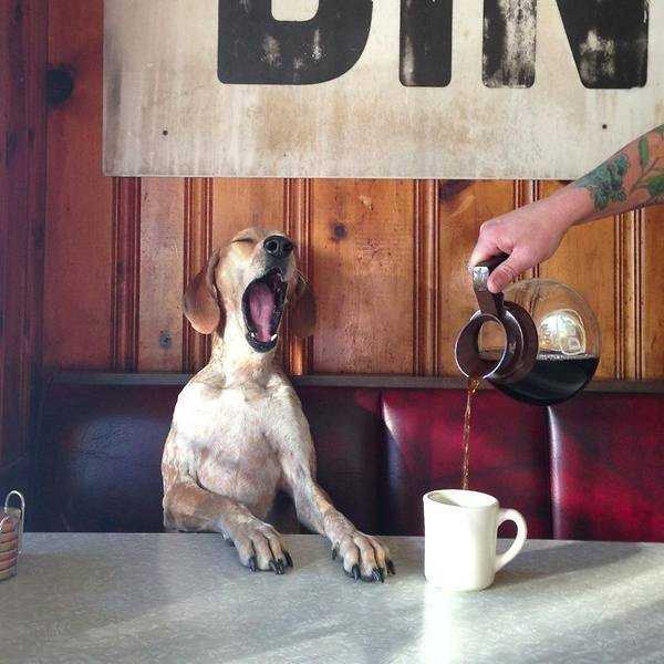 15 Struggles Non Morning People Go Through