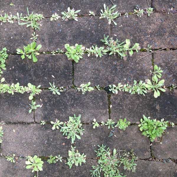 A Reminder To Reconsider