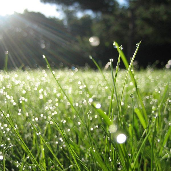 11 Things To Do On A Rainy Summer Day