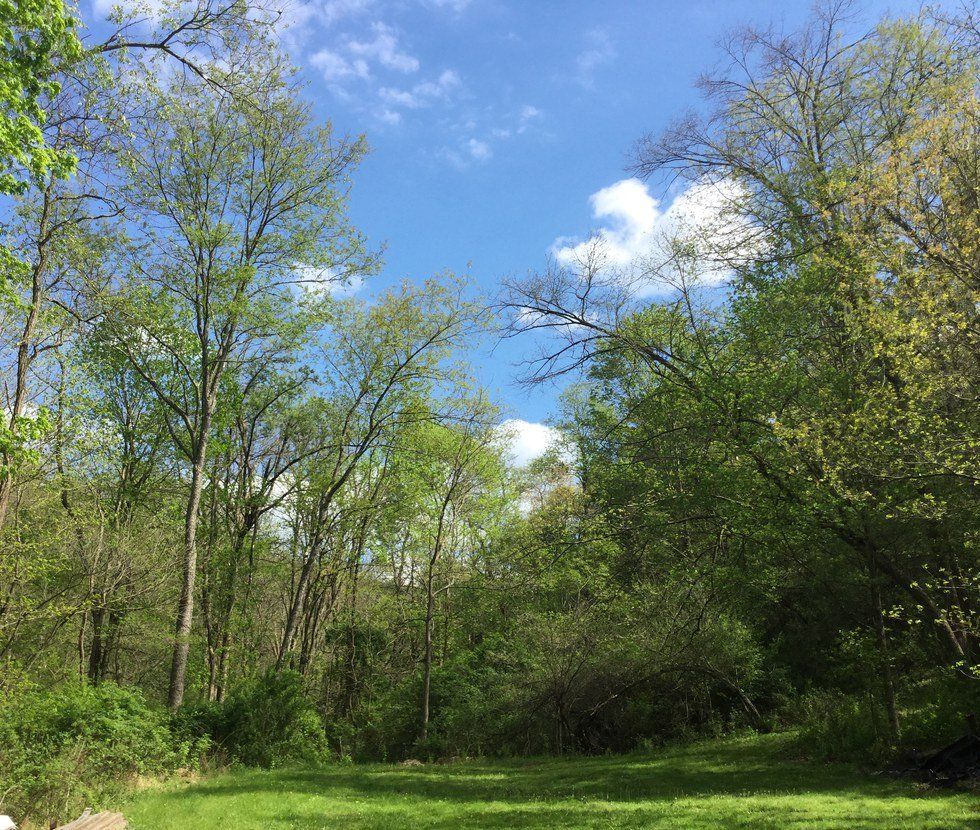 Stop Making Excuses: Just Rest In The Lord