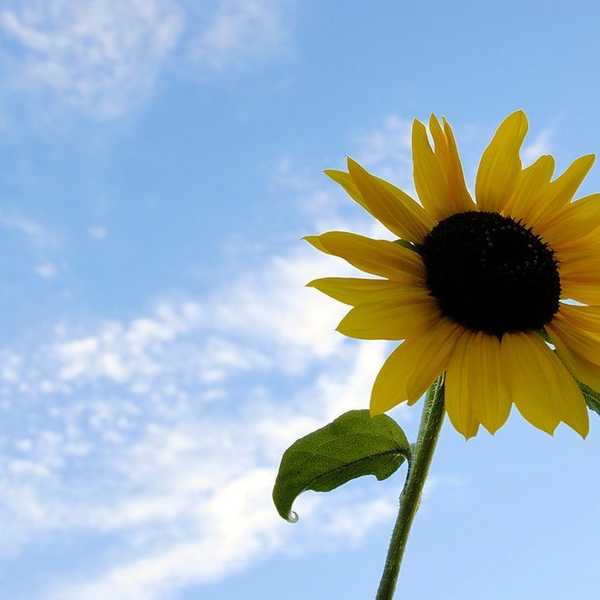 How To Make The Most Of The Rest Of Your Summer Break