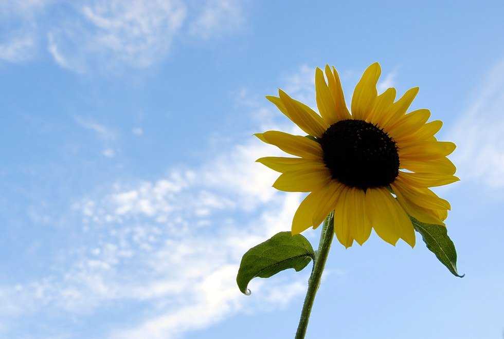 How To Make The Most Of The Rest Of Your Summer Break