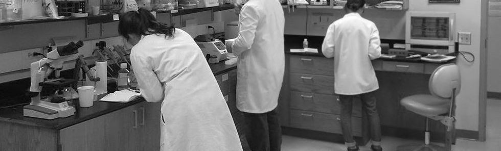 5 Reasons To Get Involved In Undergrad Research Today