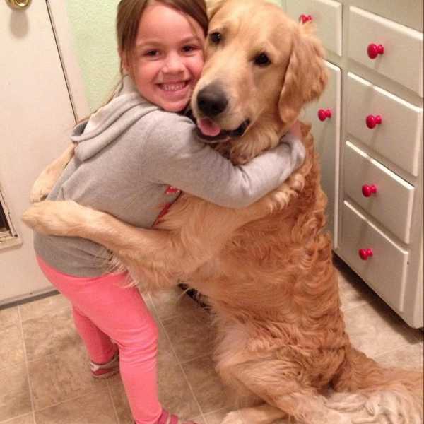5 Reasons Why Dogs Are Better Than People