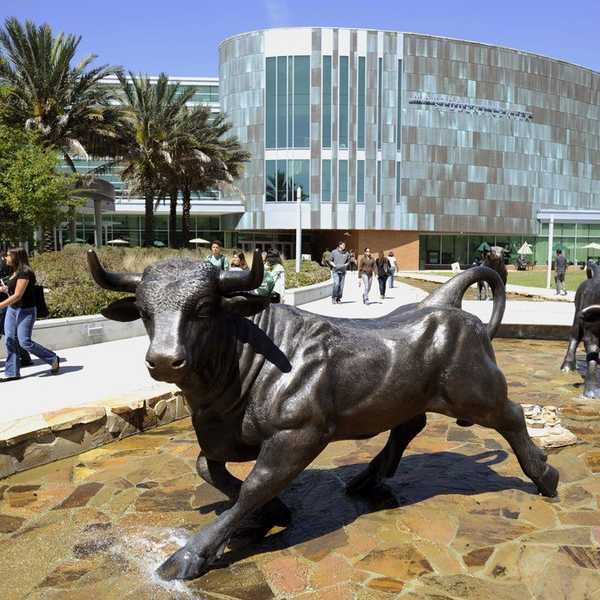 8 Essential USF Life Hacks To Survive Freshman Year