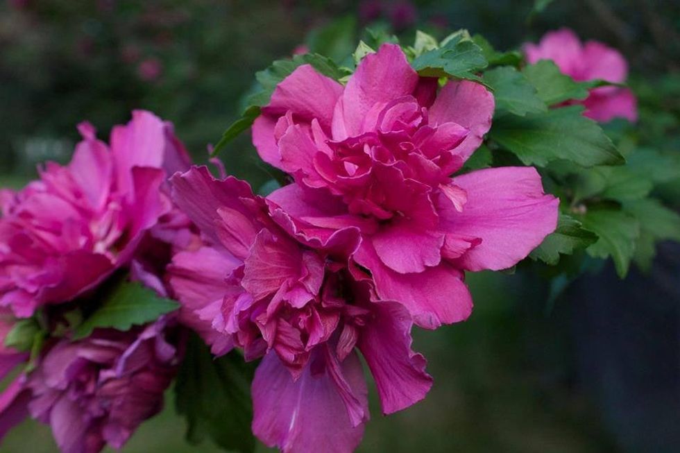 12 Ways To Say "I Love You" Without Actually Saying It