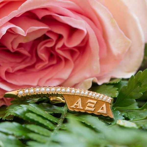 A Beginners Guide To Sorority Recruitment: LIU Post Edition