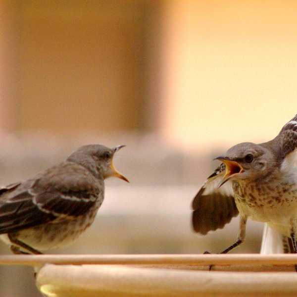 To Those Who Claim That 'Liberals Are Intolerant'