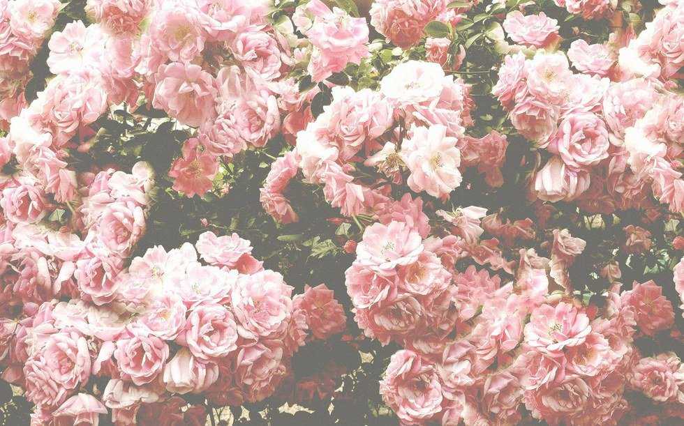 10 Pieces Of Advice For My Younger Self