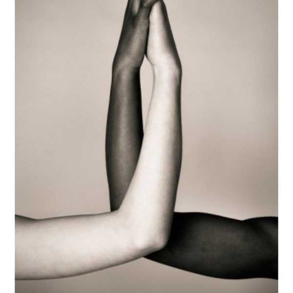 United We Stand, Divided We Fall