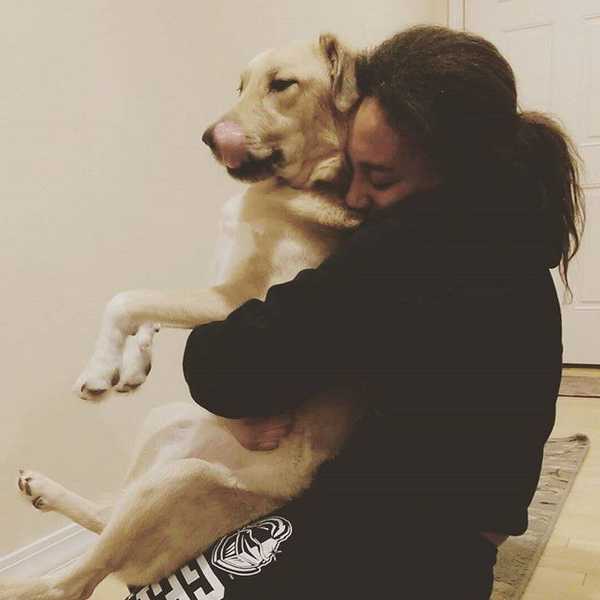 20 Things All Dog Owners Know So Well