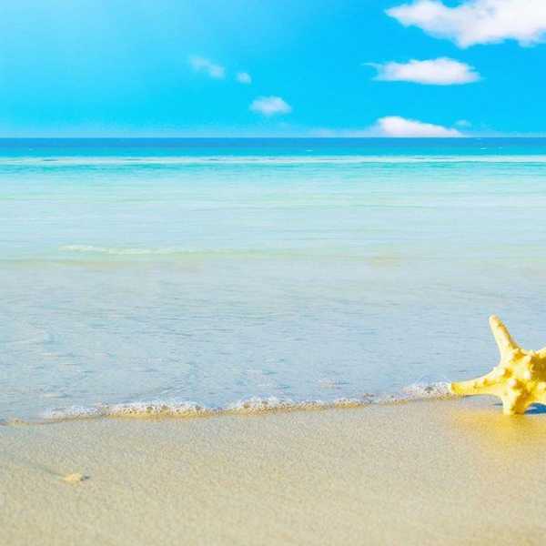 Summer Of Senior Year