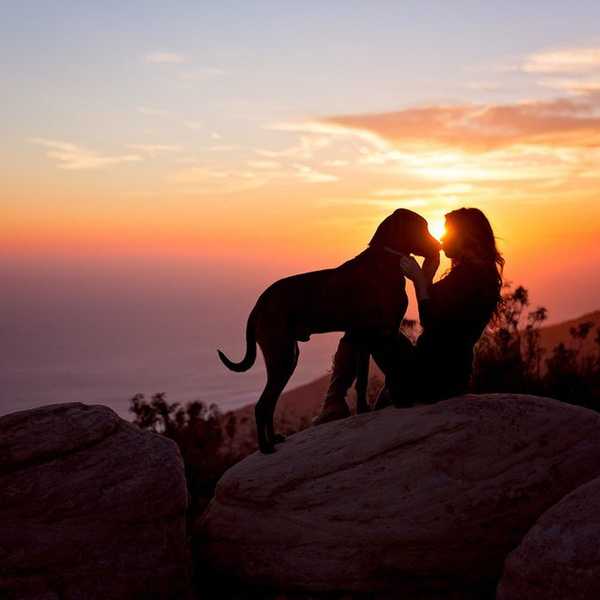 10 Reasons Why My Dog is My Best Friend