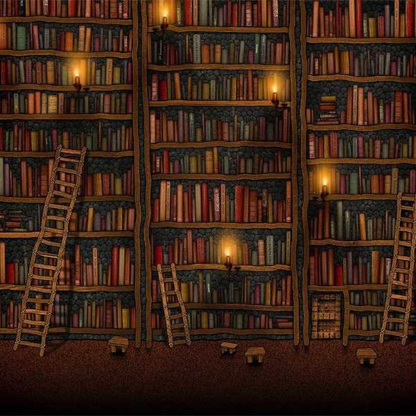 On the Importance Of Reading