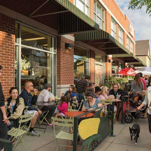 Ode To Elmwood In Summer