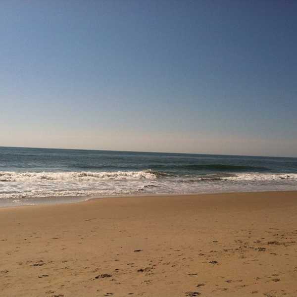 An Open Letter To The Beach