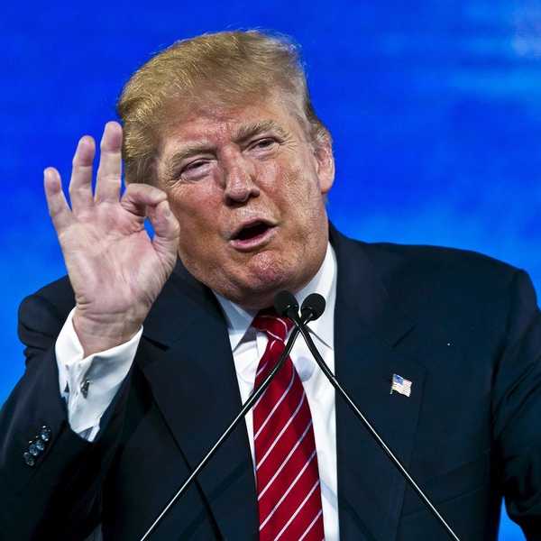 My Reluctant Admiration For Trump
