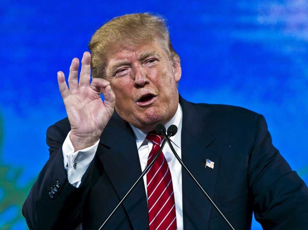 My Reluctant Admiration For Trump
